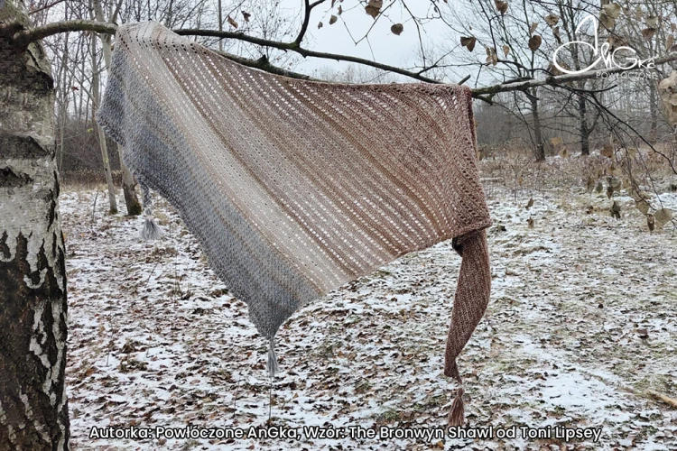 Autorka: Powłóczone AnGka, wzór: The Bronwyn Shawl od Toni Lipsey