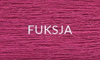 19 FUKSJA