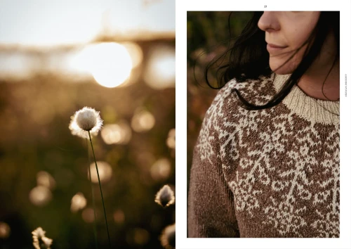 Książka Lakeside Stitches / Ronja Hakalehto - w języku angielskim