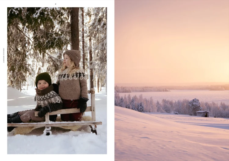 Książka Lakeside Stitches / Ronja Hakalehto - w języku angielskim