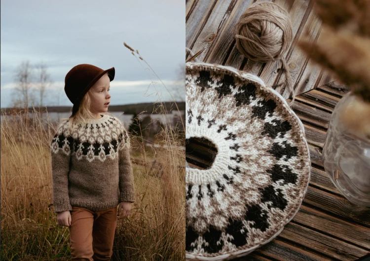 Książka Lakeside Stitches / Ronja Hakalehto - w języku angielskim