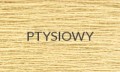 PTYSIOWY