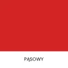 PĄSOWY