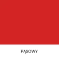 PĄSOWY