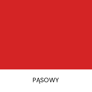 PĄSOWY