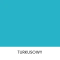 TURKUSOWY