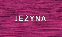 JEŻYNA