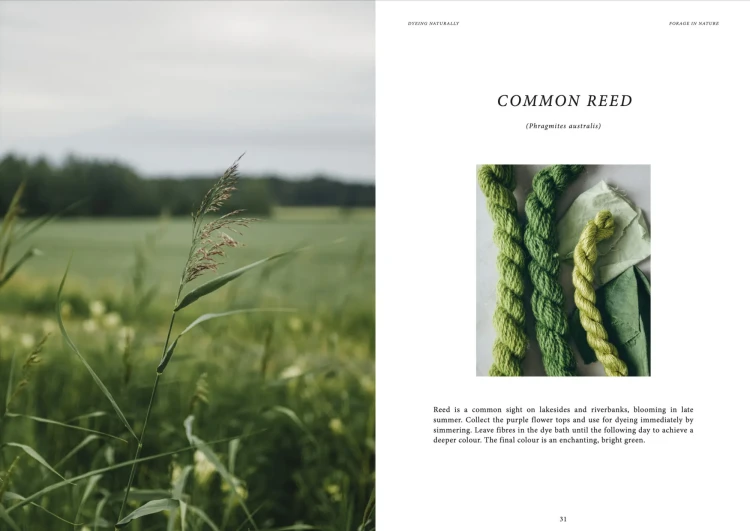 Książka Dyeing Naturally / Emma Kylmälä - w języku angielskim