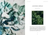 Książka Dyeing Naturally / Emma Kylmälä - w języku angielskim