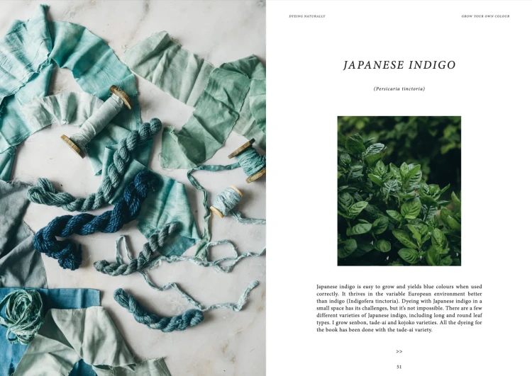 Książka Dyeing Naturally / Emma Kylmälä - w języku angielskim