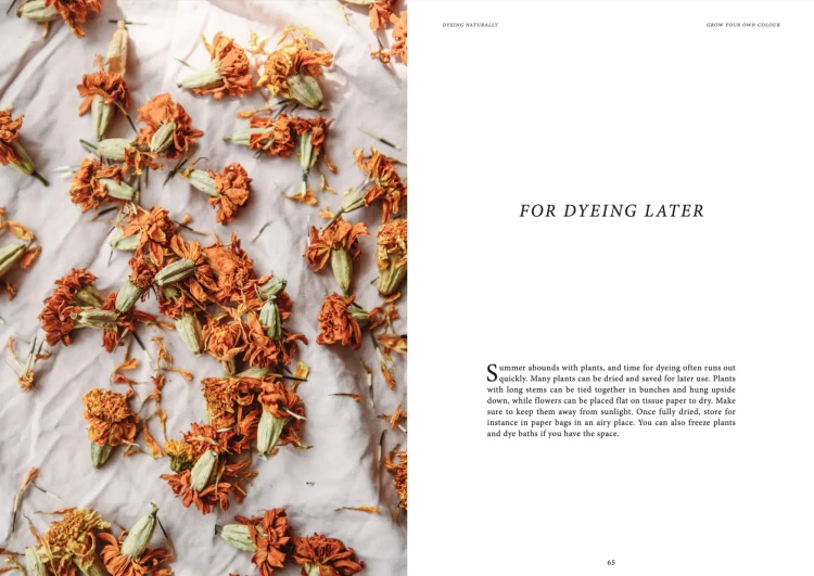 Książka Dyeing Naturally / Emma Kylmälä - w języku angielskim