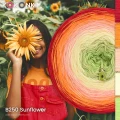 KOKONEK Classic B250 Sunflower A - Czerwień/pomarańcz/brzoskwinia/wanilia/jasna zieleń