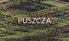 alpacawool_puszcza.jpg