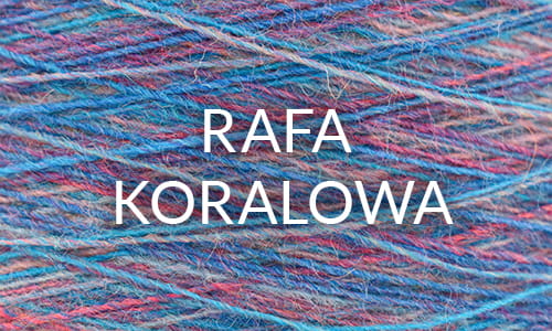 alpacawool_rafa.jpg