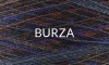 burza1.jpg