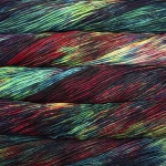 Włóczka Malabrigo Rios 684 / Camaleon