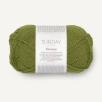 Włóczka Sandnes Garn Sunday  9564 PetiteKnit / matcha