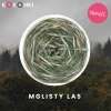 Włóczka KOKONKI HUG HM19 / mglisty las