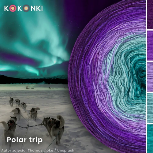 KOKONEK Merino 827 Polar trip - Śliwka/purpura/jasny fiolet/patyna/szmaragd