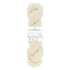 Włóczka / baza do farbowania Scheepjes Nakid Series Undyed Pure Wool DK / 200m / naturalny / 004
