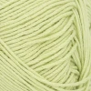 Włóczka Sandnes Garn Mandarin Petit 9523 / kiwi