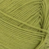 Włóczka Sandnes Garn Mandarin Petit 9564 / matcha