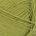 Włóczka Sandnes Garn Mandarin Petit 9564 / matcha