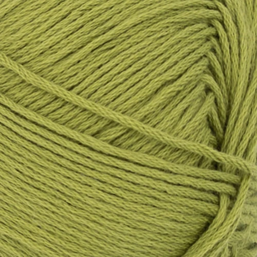 Włóczka Sandnes Garn Mandarin Petit 9564 / matcha