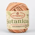 Włóczka Stenli Botanical Color 193