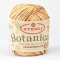Włóczka Stenli Botanical Color 194