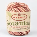 Włóczka Stenli Botanical Color 195