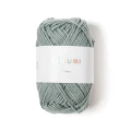 Włóczka Rico Design Ricorumi DK 038 / eukaliptus
