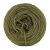 KOKONEK Mono Merino jeden kolor - guacamole / 250m