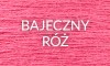 17 BAJECZNY ROZ.jpg