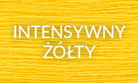 33 INTENSYWNY ŻÓŁTY.jpg