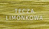 Nić tęcza limonkowa / szpula ~ 1.5 kg