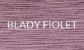 BLADY FIOLET nature