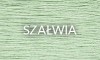 SZAŁWIA