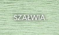 SZAŁWIA