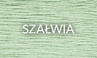 SZAŁWIA.jpg