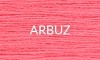 ARBUZ 2025
