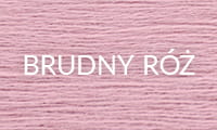 BRUDNY RÓŻ 2025