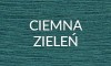 CIEMNA ZIELEŃ 2025
