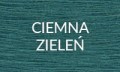 CIEMNA ZIELEŃ 2025