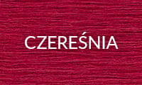 CZEREŚNIA 2025