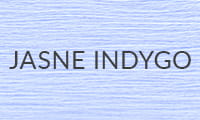JASNE-INDYGO 2025
