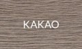 KAKAO 2025