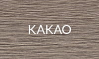 KAKAO 2025