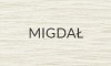 MIGDAŁ 2025