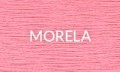 MORELA 2025
